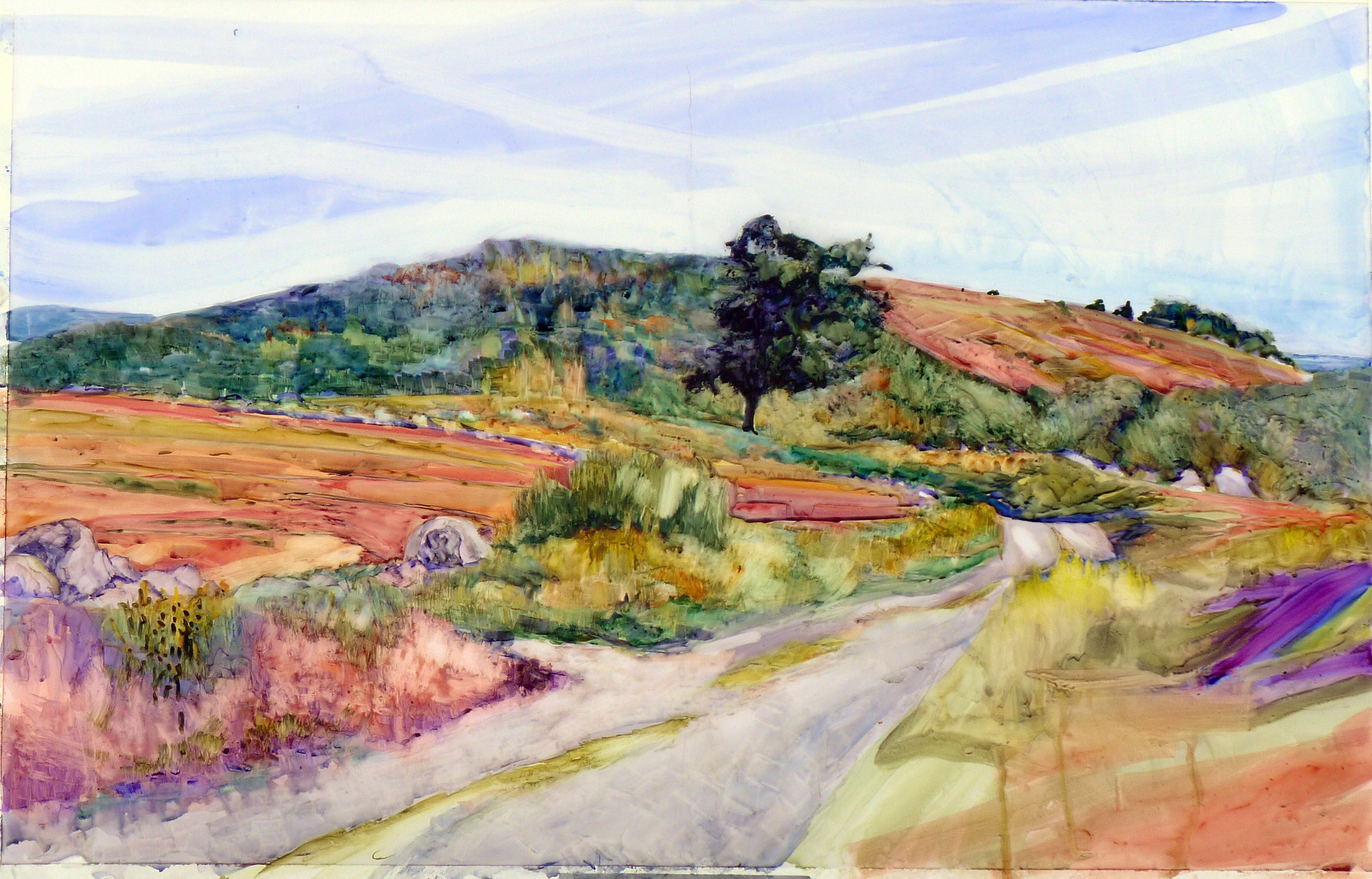 Clary Hill Blueberry Barrens, watercolor on Yupo, ~24X36, $3985 framed includes shipping and handling in continental US.
