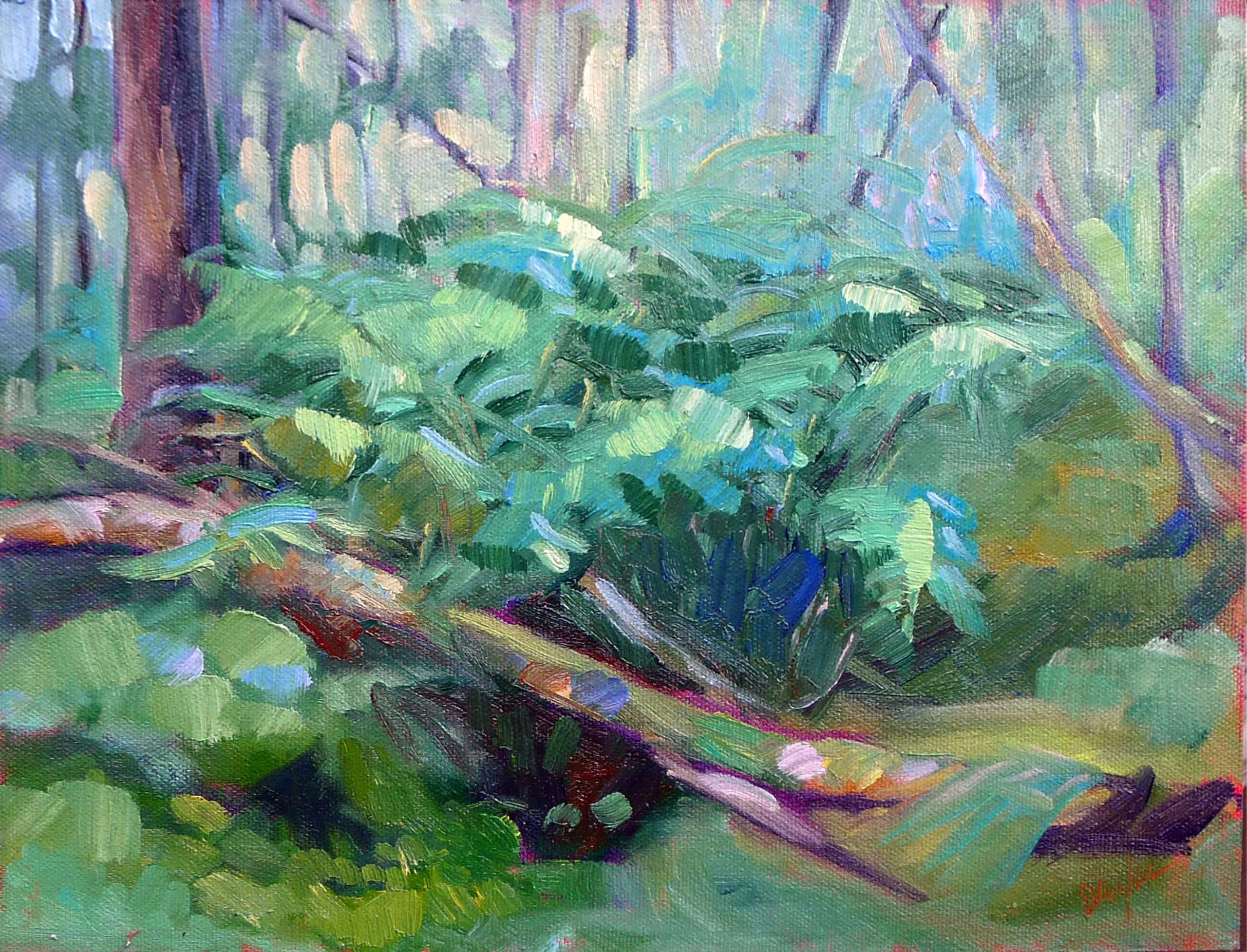 This is a painting of a large cinnamon fern in the woods. Cinnamon Fern, 9X12, oil on archival canvasboard, $869 framed includes shipping and handling in continental US.