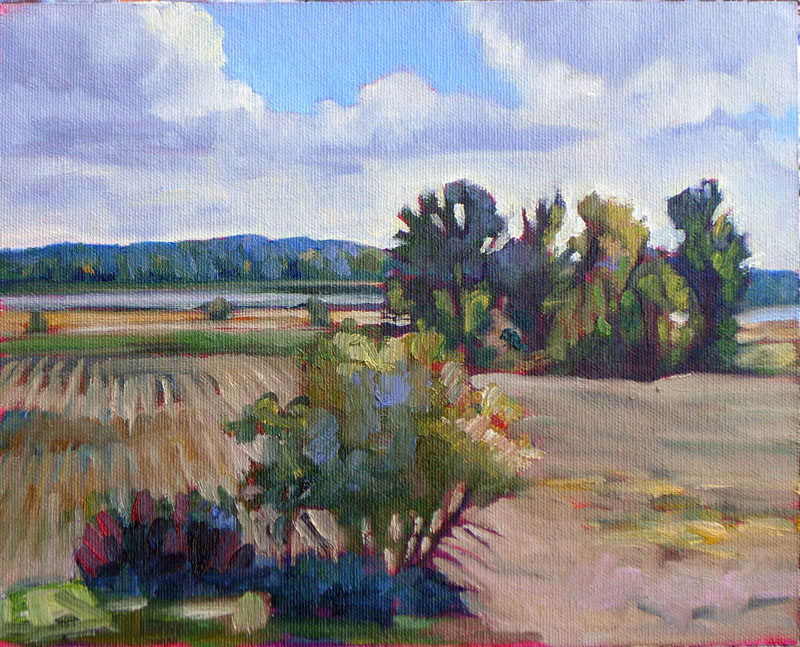 "Marshes along the Ottawa River," Plaisance, Quebec 