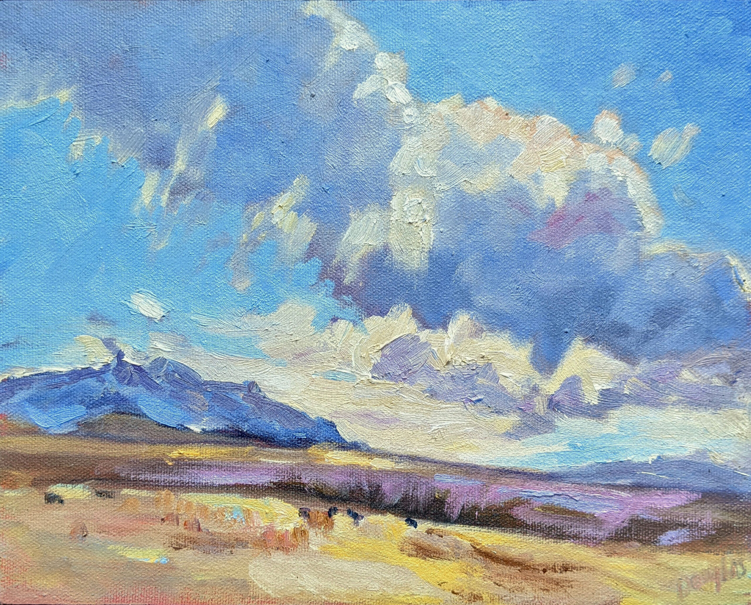 Carol L Douglas Clouds and Ranch