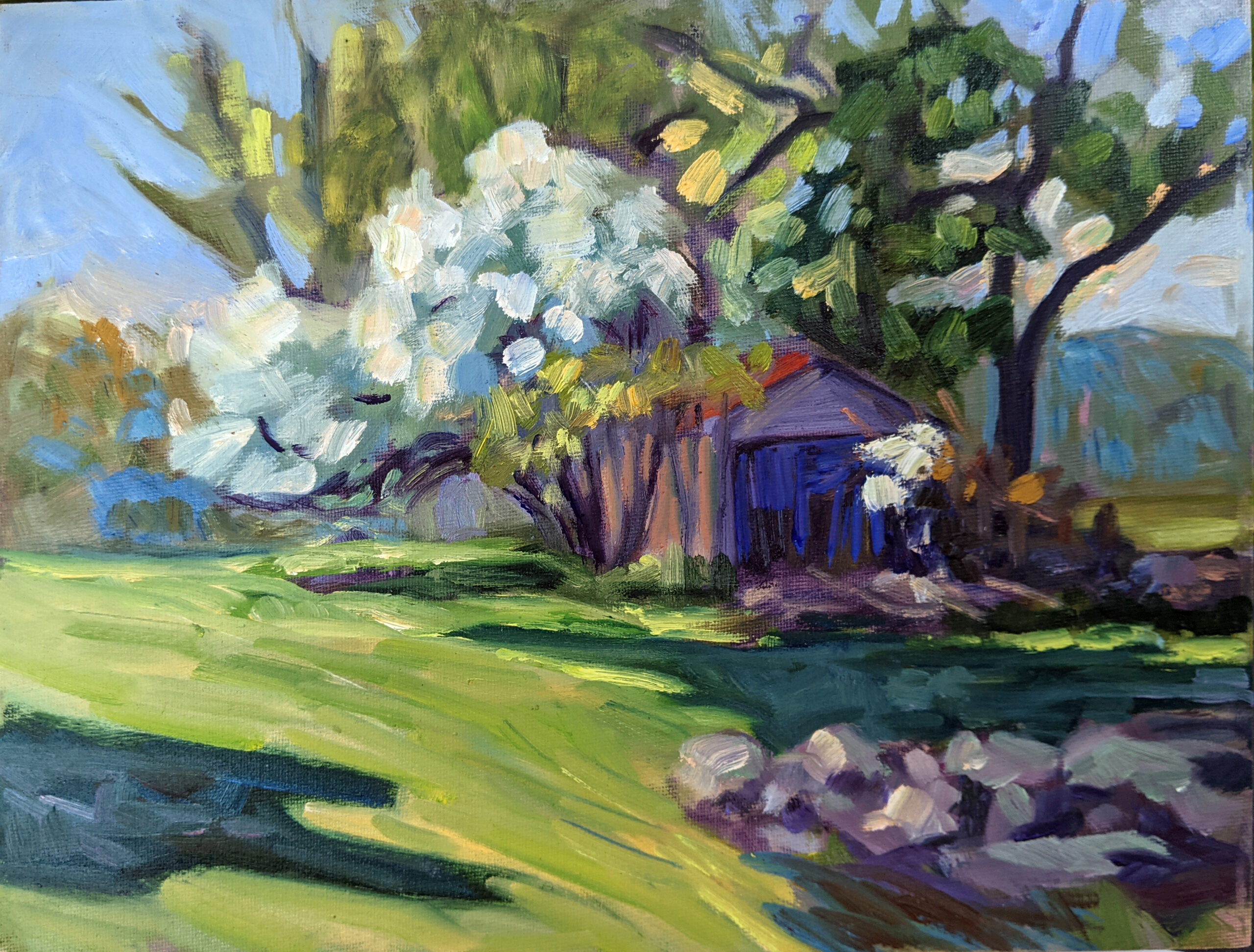 Apple Blossom Time, oil on archival canvasboard, $869 framed includes shipping and handling in continental US.