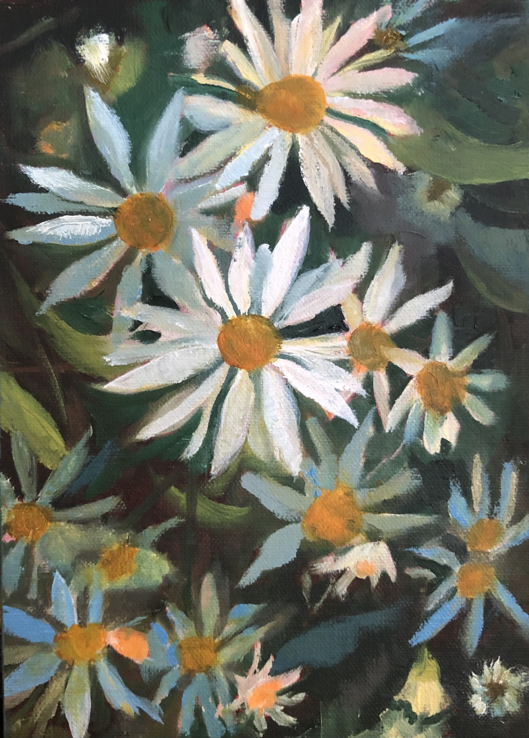 Parasol White Top of the Aster Family, oil on canvas, framed, 5X7, $165. Shelley Pillsbury.