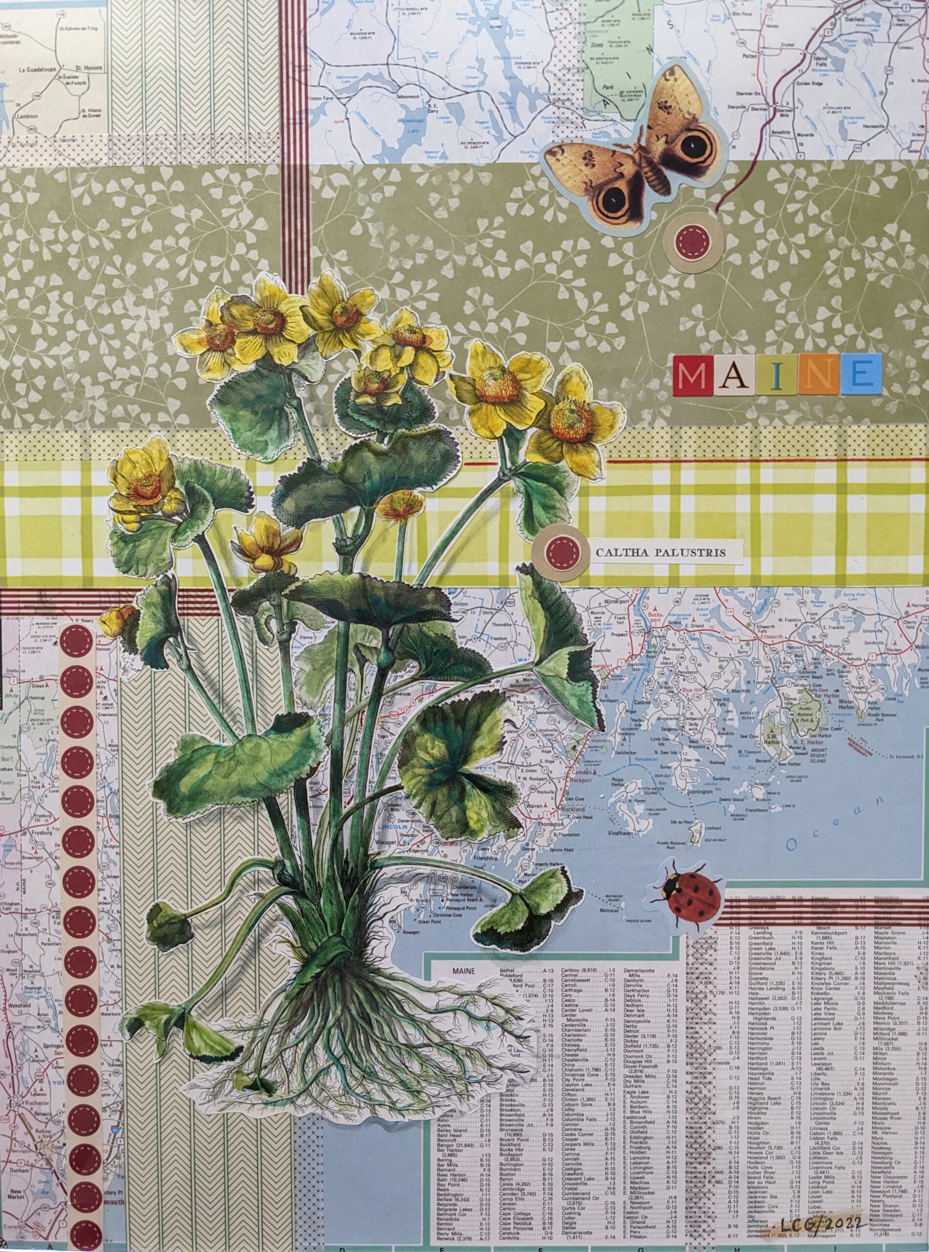 Caltha Palustris/Marsh Marigold, mixed media collage with hand-colored botanical print and vintage map 12 x 16, matted, $150, Lori Capron Galan. The artist has designated 100% of this sale to go to the library fund.