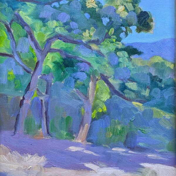 There is no ‘undo’ button in the field