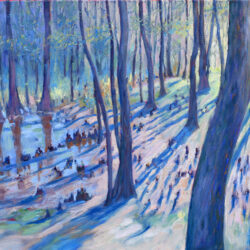 Cypress swamp in early spring
