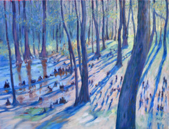 Cypress swamp in early spring