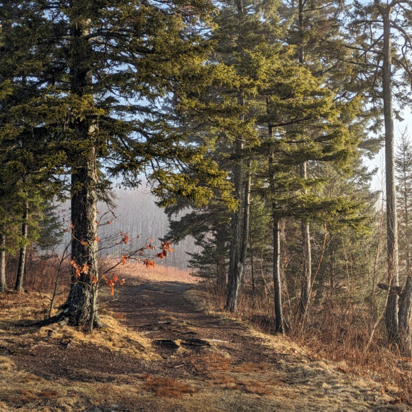 Choosing a plein air painting site