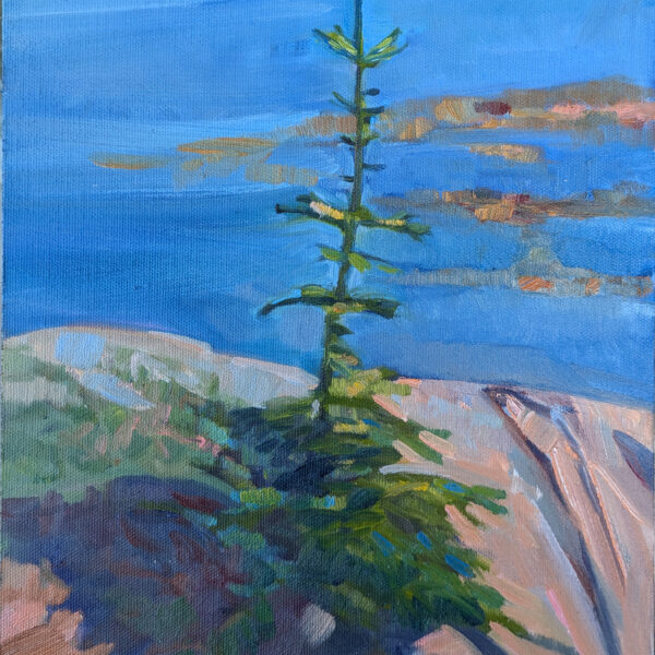 Monday Morning Art School: cast versus form shadows