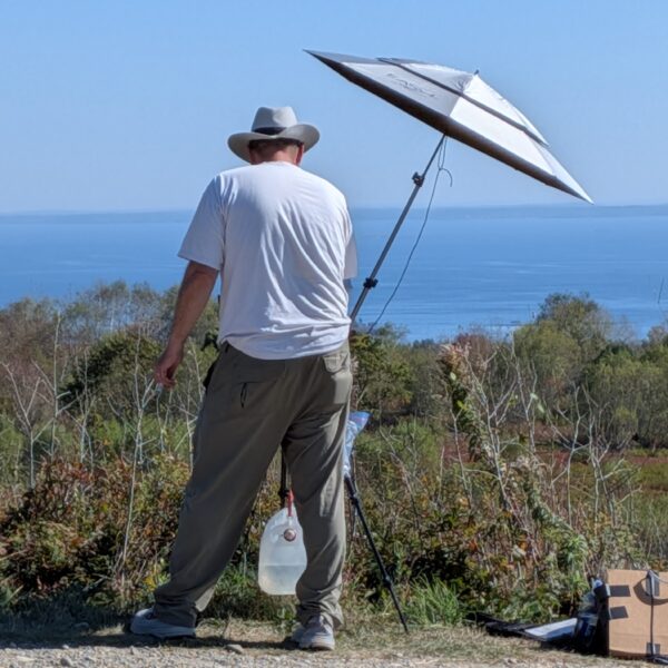 No text, just photos…