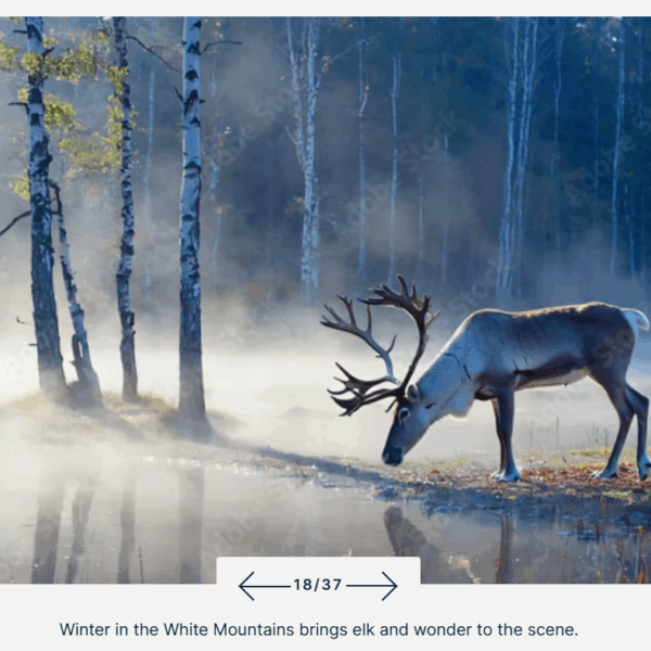 Do artists practice truthiness?