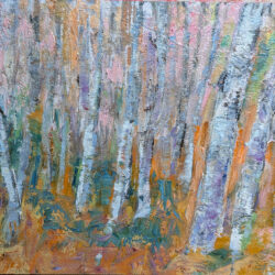Grey birches
